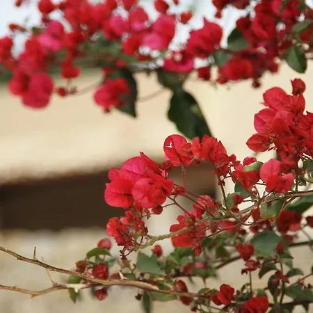 Bed & Breakfast Serenita Noto