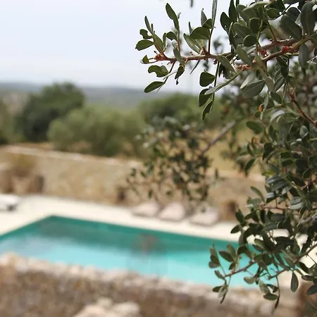 Serenita לינה וארוחת בוקר *